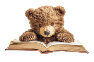 Brown bear reading a book in a transparent cutout, cut out transparent png