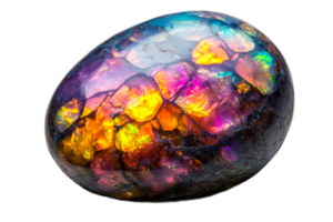 Iridescent Ammonite fossil shell, colorful gemstone, egg shape, cut out transparent png