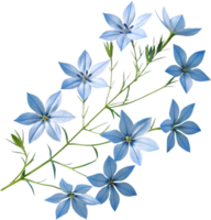 Blue Star Creeper Ideal for Ground Coverage in Any Garden. . png