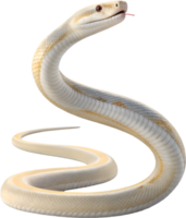 Snake clipart with intricate patterns of the non-venomous boa constrictor. . png