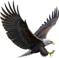 Simple Yet Strong Eagle Emblem for Business Use. . png