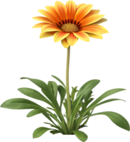Gorgeous Gazania Flower Clipart with Vibrant and Bold Color Combinations. . png