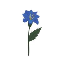 Blue Lily Flower in Full Bloom, Elegant Spring Floral Design with Soft Petals and Natural Aesthetic vector
