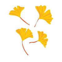 Delicate Yellow Ginkgo Flowers in Bloom, Elegant Spring Botanical Scene vector