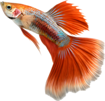 Digital Guppy Fish Artwork with Unique Patterns and Colors. . png