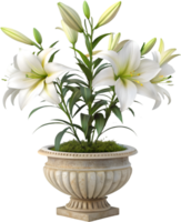 Graceful Lily Plant Clipart with Colorful and Vibrant Flower Design. . png
