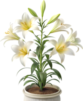 Graceful Lily Flower Artwork with Colorful Petals and Detailed Design. . png