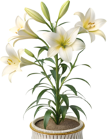 Vibrant Lily Flower Clipart with Soft Petals and Elegant Bloom. . png
