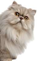 Playful Kitten Clipart Evoking Curiosity and Charm. . png