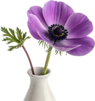 Aesthetic Poppy Flower in Artistic Style. . png