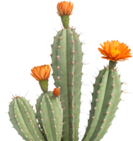Soft Gradient Prickly Pear Cactus in Desert Scene. . png