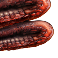 Close up of rk red tentacles a textured bumpy surface png