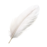 Delicate white feather resting on a plain surface png