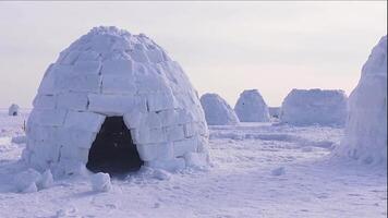 Igloo holiday. Eskimo dwelling made of ice and snow. Igloo home from snow. panorama close up video