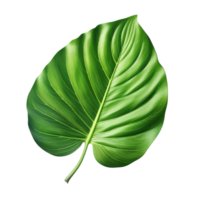 Large green monstera leaf with deep splits and glossy texture png