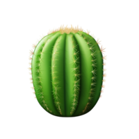 Small green cactus with sharp spines in a round pot png