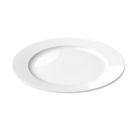 Decorative plate designed with a realistic image of a white cat png