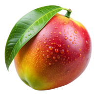 A single ripe mango with water droplets and a green leaf on a black background png