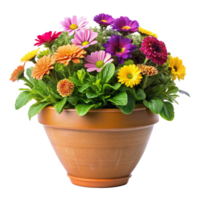 A Colorful Arrangement of Spring Flowers in a Terracotta Pot png