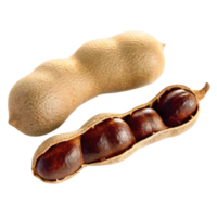 Closeup view of a tamarind fruit pod showing both the intact pod and one opened revealing the dark brown seeds inside png