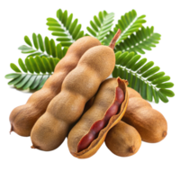 Closeup of ripe tamarinds with green leaves background showing texture and color png