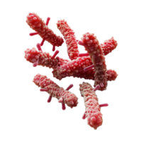 Microscopic View of RodShaped Bacteria in a Cluster a 3D Rendered Image png