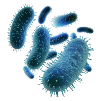 Microscopic View of Multiple CyanColored Bacteria or Viruses with Spikes png