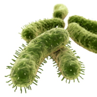 Microscopic View of RodShaped Bacteria with Flagella HighResolution 3D Render png