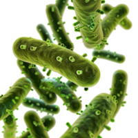 Microscopic View of RodShaped Bacteria in a 3D Rendering Illustration png