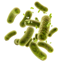 Microscopic View of RodShaped Bacteria in 3D Rendering Highlighting Cellular Structures and Details png