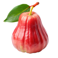 Vibrant Red Rose Apple with Green Leaf Isolated on Black Background a Closeup Studio Shot of a Single Wax Apple png