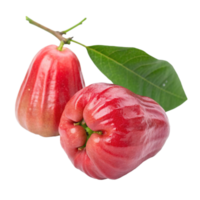 Two Ripe Red Water Apples with Green Leaf Isolated on Black Background png