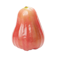 uma solteiro maduro vermelho rosa maçã isolado em Preto fundo png