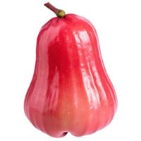 A single ripe red rose apple isolated on a black background, showcasing its vibrant color and smooth skin png