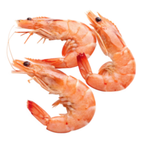Three Cooked Shrimp Arranged in a Number Three Shape Against a Black Background png