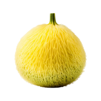 Closeup of a Unique Yellow Vegetable with Intricate Fibrous Texture png