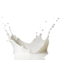Dynamic Milk Splash Isolated on Black Background Showing Texture and Movement png