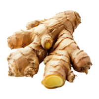 Fresh Organic Ginger Root Tuber Closeup High Resolution Image Showing Detailed Texture and Color of the Spice png