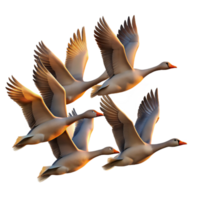 dramatic artistic A Flock of Migrating Geese Flying in V For exclusive png