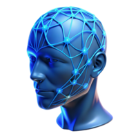 extraordinary rustic A Transparent Human Head with Visible Neu original png
