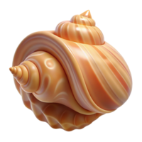 stunning contemporary Intricate Seashell Pattern Close Up high resolution png