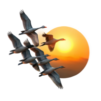 serene classic A Flock of Migrating Geese Flying in V For exclusive png