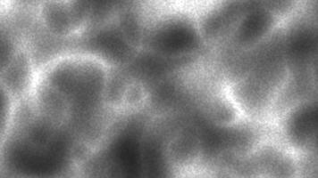 Noisefilled black and white plastic texture with a grainy background, suitable for abstract designs, website backgrounds, and multimedia projects. video