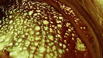Abstract Colorful Ink Paint Diffusion Surreal Chaotic Spread Shapes video