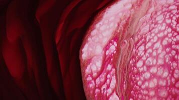 Abstract Colorful Ink Texture Paint Diffusion Spread video