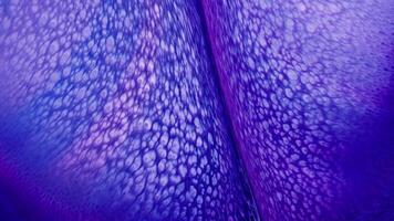 Abstract Patterns Colorful Ink Paint Diffusion Spread video