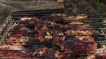 Delicious Of Chicken Meat On Barbecue Fire video