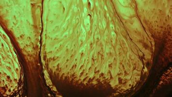 Surreal Patterns Art of Ink Spread video