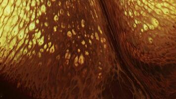 Abstract Surreal Shapes of Colorful Ink Paint Diffusion Spread video