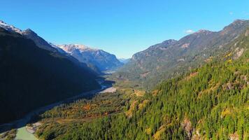 Aerial view of colourful forest on mountain slopes. Fall in Canada video